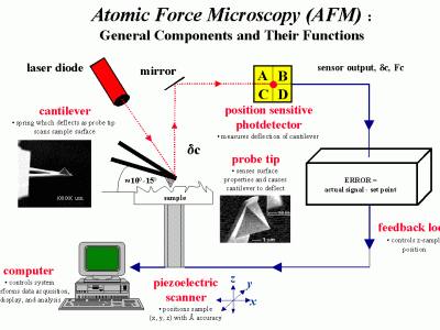 afmweb4
